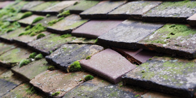Coates roof repair costs